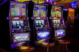bet59544