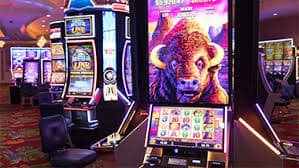 bet59544